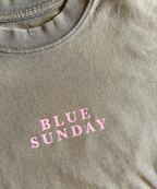 Heavy Shirt - Desert Rose
